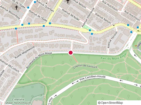 Location of Clinique Universitaire de Psychologie de Montréal at Boulevard du Mont-Royal, Montréal