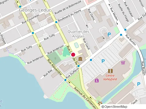 Location of Petinos Valleyfield at 21 Rue de Grande-Île, Salaberry-de-Valleyfield