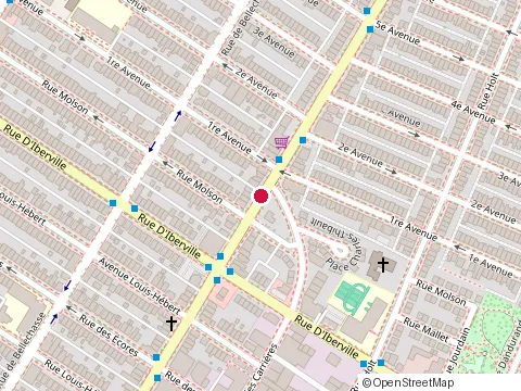 Location of Always Mikes at 2570 boulevard Rosemont, Montréal