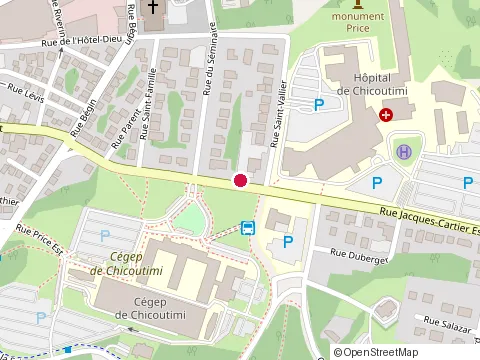 Location of Cegep de Chicoutimi at 534 Rue Jacques-Cartier E, Chicoutimi