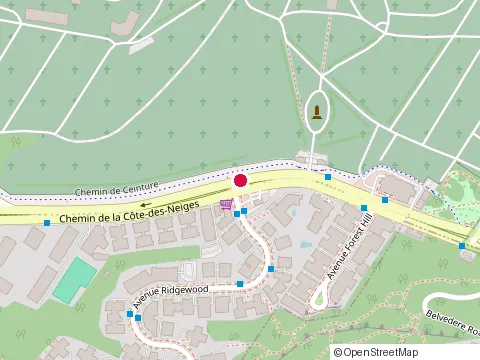 Location of Centre Funéraire Côte-des-Neiges at 4525 Chemin de la Côte-des-Neiges, Montréal