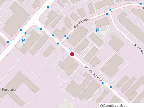 Location of Recochem Inc at 850 Montée de Liesse, Saint-Laurent