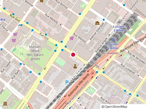 Location of Herzing College Montreal at 1616 René-Lévesque Blvd W, Montréal
