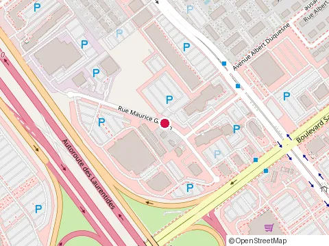 Location of Mine Raglan at 300-1950 Rue Maurice-Gauvin, Laval