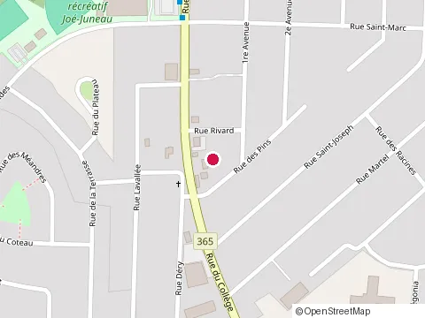 Location of Pizza Salvatoré at 94 Rue du Collège, Pont-Rouge