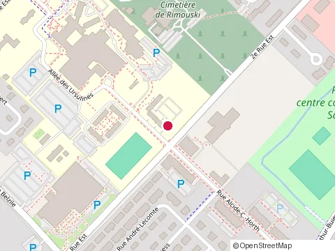 Location of Pizza Salvatoré at 391 2E Rue E, Rimouski