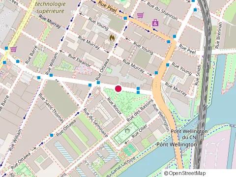 Location of Trans Canada Trail Montreal Pavilion at 201 Rue de la Montagne, Montréal