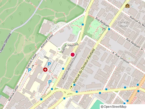 Location of Académie Michèle-Provost at 1517 avenue des Pins O, Montréal
