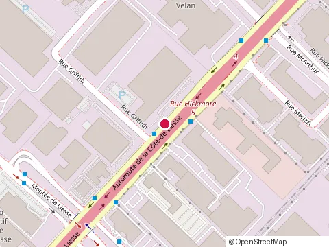 Location of Alina Sinaeva Residential And Commercial Real Estate Broker at 6971-C de la Côte-de-Liesse Rd, Montréal