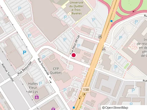 Location of Brasserie Restaurant Bar-Bulle at 1975 Rue Fleur-de-Lys, Québec