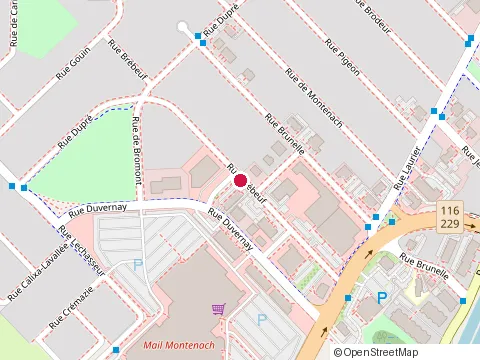 Location of Centre de Soins Aloha at 210 Rue Brébeuf, Beloeil