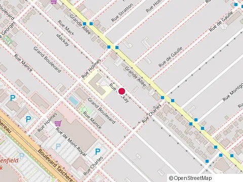 Location of Ecole la Farandole at 3480 Rue Mackay, Saint-Hubert