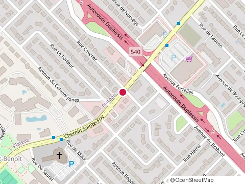 Location of Gouin Sylvie at 3330 chemin Sainte-Foy, Québec