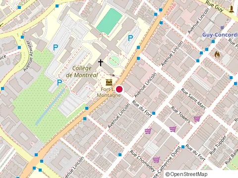 Location of India Rosa Griffintown at 1050 Wellington St, Montréal