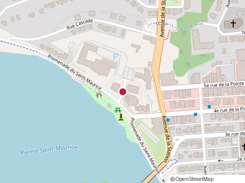 Location of le Wilson Café-Boutique at 452 Avenue Willow, Shawinigan