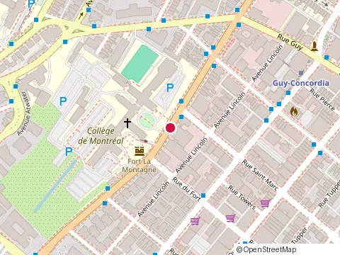 Location of Rakotta Real Estate at 1950 Sherbrooke St W, Montréal