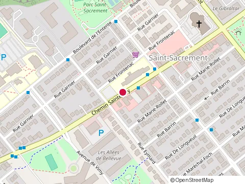 Location of Services Educatifs des Jeunes at 1460 Sainte-Foy Ch, Québec