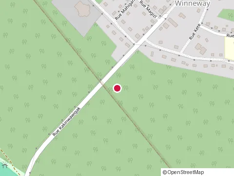 Location of au Coin de la Patate at 804 de Laforce-Moffet, Laforce