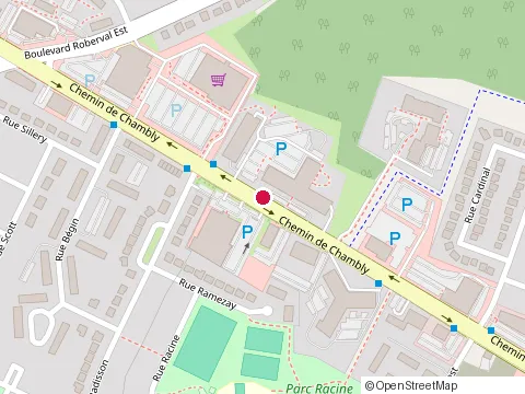 Location of Capoeira Brasil Canada-Professor Mortal at 3607 Chemin de Chambly, Longueuil