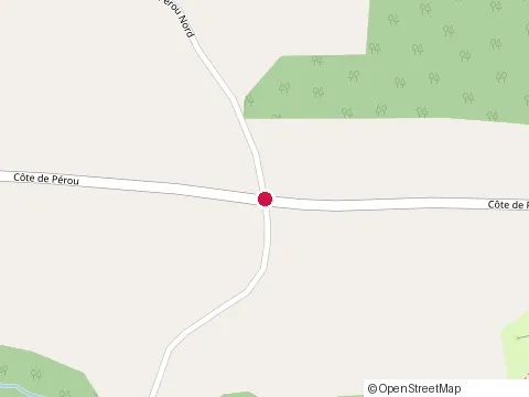 Location of Construction Yvan Duchesne Enr at 307 Rang Saint-Gabriel-de-Pero, Baie-Saint-Paul