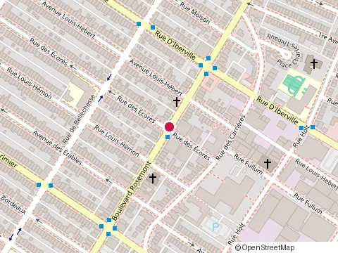 Location of Coq Express Metropolitain at 2343 boulevard Rosemont, Montréal