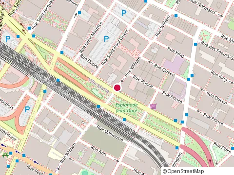 Location of Groupe de Gestion Dynamo at 781 Rue William, Montréal