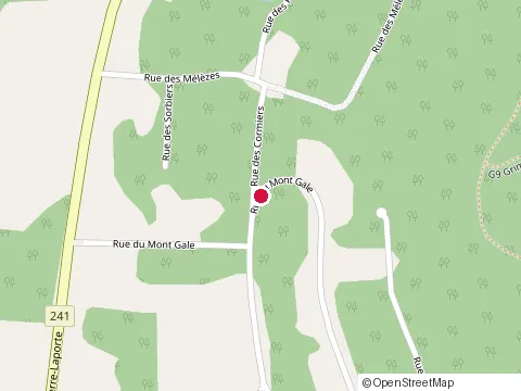 Location of Jackalop at 64 Rue du Mont-Gale, Bromont