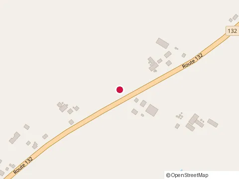 Location of la Baleine Endiablée Microbrasserie & Pub Salle de Spectacle at 229 Qc-132, Rivière-Ouelle