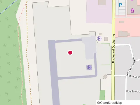 Location of la Tuque Airport at 1249 Bd Ducharme, La Tuque