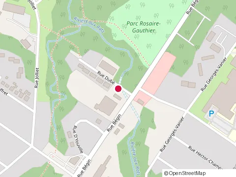 Location of Napa Autopro at 138 Rue Dub, Chicoutimi