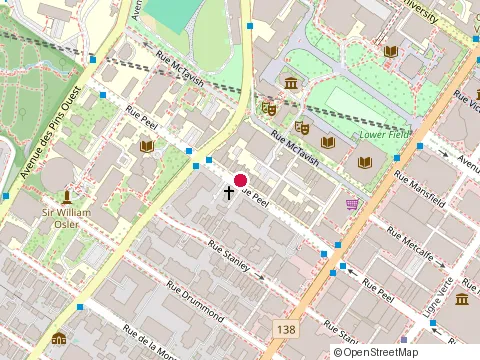Location of Newman Centre Of Mcgill University at 3484 Peel St, Montréal
