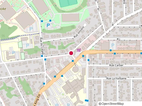 Location of Nicole Doyon at 377 Rue Mont-Plaisant, Sherbrooke