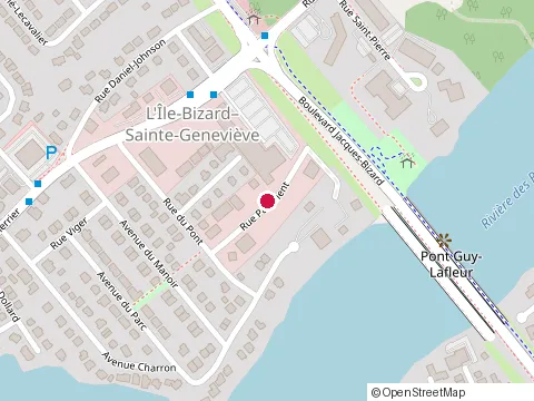 Location of Paysagiste Wolfe Landscaping Inc. at 20 Rue Paiement, Montréal