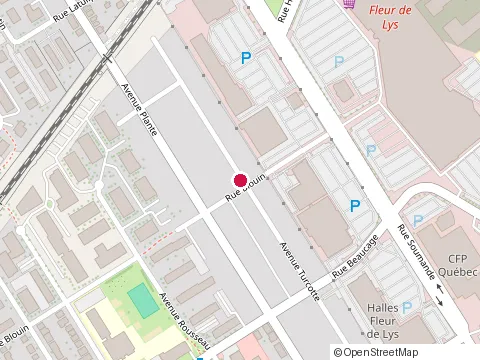Location of Pro Service Auto at 366 Avenue Turcotte, Québec