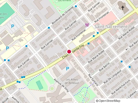 Location of Resto-Pub Ryna at 1405 chemin Ste-Foy, Québec