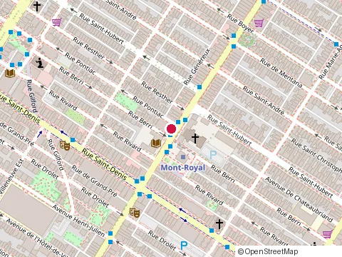 Location of Studio Bizz Inc at 551 avenue du Mont-Royal E, Montréal