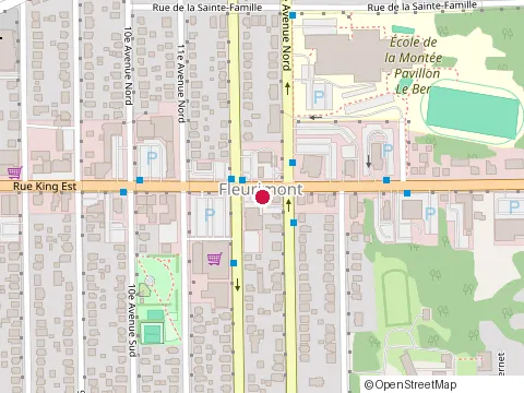 Location of Subway at 880 Rue King Estates, Sherbrooke