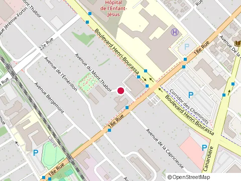 Location of Acupuncteure Ginette Paradis at 1980 avenue du Mont-Thabor, Québec