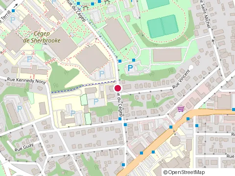 Location of Cliniques Physio-Tech Inc at 355 Rue du Parc, Sherbrooke