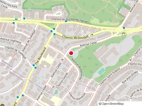 Location of Align Your Posture at 790 William St, Montréal