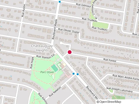 Location of Alta Logica Construction at 228 Rue Forest, Châteauguay