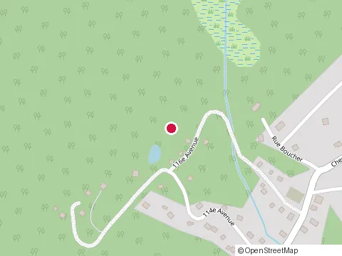 Emplacement de Arbore: Élagage et Abattage Laurentides au 12 Rue du Hameau, Saint-Hippolyte