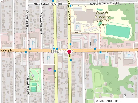 Location of Arboriste Elago at 907 Rue King O, Sherbrooke