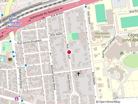 Location of Baie Electric Inc. at Rue Perrault Ste-Anne de Bellevue 45, Montréal