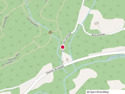 Location of Beatnik Hôtel at 279 Chem. du Lac Gale, Bromont