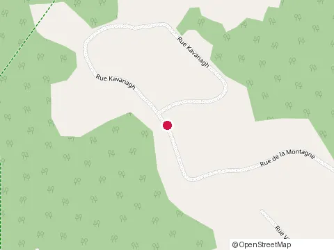 Location of Belimax Construction Inc. at 107 Rue Kavanagh, Saint-Colomban