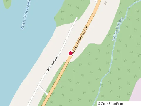 Location of Bibliothèque de Saint-Roch-de-Mékinac at 1216 Rue Principale, Saint-Roch-de-Mékinac
