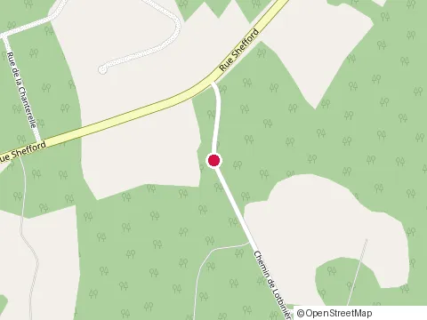 Location of Brasse Montagne - Microbrasserie at 386 Chemin de Lotbinière, Bromont