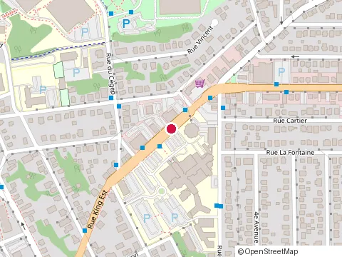 Location of Buffet Chinois at 355 Rue King E, Sherbrooke