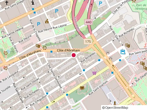 Location of Café Félin Chats-Nous at 795 Rue Saint-Olivier, Québec